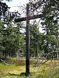 Černý kříž v sedle mezi Sedloňovským vrchem a Kamenným vrchem.