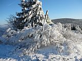 Zajišťovací geodetický bod na vrcholu tisícovky Šerlich - JV vrchol. Za skupinou stromů Masarykova chata, na horizontu Malá Deštná.