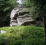 Nejvyšší bod Marušina kamene je na 4 m vysoké skále, asi 50 m SZ od geodetického bodu.