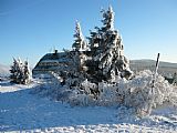 Zajišťovací geodetický bod na vrcholu tisícovky Šerlich - JV vrchol. Za skupinou stromů Masarykova chata, na horizontu Velká Deštná.