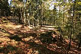 Lesní cesta "Kytýrka" - serpentina v blízkosti stejnojmenného skalního útvaru.