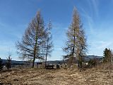 Odpočinkové místo "U Lenorské hájenky" s panoramatickým výhledem na Chlustov, Červený vrch, Pažení, Boubín a další tisícovky.