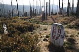 Turistický chodník z Březníka k Modrému Sloupu vede na svahu Špičníku dlouhý úsek po státní, česko-bavorské hranici, kde lze spatřit také historický hraniční kámen z 18. století.