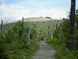 Vrchol Luzného (1373 m) nedaleko tisícovky Blatný vrch vrch tvoří kamenné moře. Tím se výrazně liší od ostatních šumavských vrcholů.