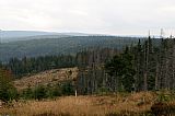 Česko-bavorský hraniční chodník (Grenzsteig) nad sedlem mezi Velkým Roklanem a Medvědí horou - J vrcholem. V pozadí je patrný Poledník s věží (vlevo) a Jezernice.