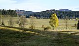 Jedlová, Dvorský vrch (914 m) a Bobík - pohled z louky mezi Lískovcem (834 m) a železniční tratí u Volar.