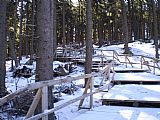 Po orkánu Kyrill byly na vrchol Boubína vybudovány dřevěné schody.
