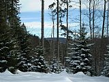 Pohled z vrcholu Obří hory lesním průsekem na vrchol Boubína. Vlevo od rozhledny nevýrazný výstupek tisícovky Srní vrch.