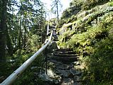 Kamenné schody na vrcholovou skálu tisícovky Březník.