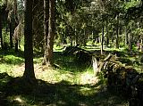 V sedle mezi Tetřevem a Čertovým vrchem je tato zídka, která kdysi ohraničovala kraje Jihočeský a Západočeský (Plzeňský).