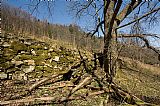 Studánka s pramenem na východním svahu Chlumu.