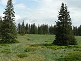 Planina na Debrníku.