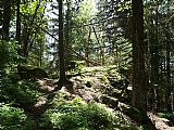 Vrcholová partie Doupné hory - SV vrcholu I.