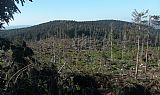 Hole a Lovečná z Ostrého - S vrcholu. Ač se ze snímku nezdá, i na těchto vrcholech je spousta padlých smrků po vichřici Kyrill z ledna 2007.