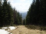 Pohled lesním průsekem s tisícovky Hůrecký vrch na jih. Lesní průsek vede až na vrchol a končí asi dvacet metrů od geodetického bodu.