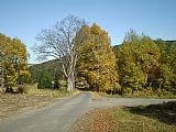 Podzim nedaleko tisícovky Hůrecký vrch, jehož vrchol je schovaný za stromy vpravo z turistické cesty na jezero Laka.
