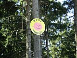 Smajlík "Stop Temelín" na stromě hned vedle větrné elektrárny na rakouském vrcholu tisícovky Hvězdná - JV vrchol.