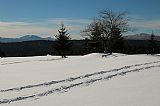 Pohled z místa asi 100 m JZ od vrcholu Hadího vrchu na (zleva) bavorský Velký a Malý Javor a Pancíř.