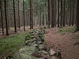 Tato kamenná zeď se táhne od Javorníku, přes Javorník - Z vrchol I, Javorník - Z vrchol II až ke Královskému kameni.