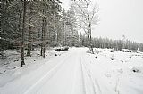 Spočinek Lišák na západním okraji vrcholového hřbetu Jeleního kaliště.