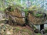 Vrcholová skála na tisícovce Jelení slať - J vrchol leží JV od hřbetu a je poněkud skryta v usychajícím lese.