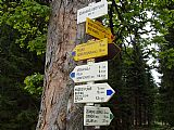 Žďárské sedýlko je ideálním východištěm na Jelení slať - S vrchol, od kterého je vzdálené asi 700 m po cestě.
