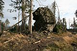 Skalní útvar s geodetickým bodem ve vzdálenosti 700 m od skály na hřbetnici JV svahu Jezerní hory.