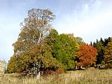 Barvy podzimu pod Kamenitým vrchem.
