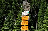Při výstupu na Koňský vrch je optimální opustit zeleně značenou turistickou cestu na rozcestí Jezerní stezka, ležícím asi 450 m J od vrcholu.