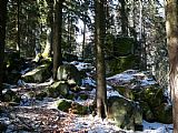 Vrcholová část Křemenné. Nejvyšším bodem je balvan vpravo.