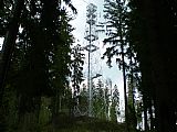 Radiokomunikační věž se nachází asi 200 metrů od vrcholu tisícovky Mechový vrch.