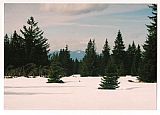 Medvědí hora - J vrchol - pohled na Velký Javor (Gr. Arber, 1457 m).