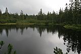 Latschensee, Klečové jezírko, ležící poblíž tisícovky Nad Latschensee.