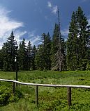 Rakouská louka - nejvýše položené šumavské sedlo (1 344 m) s rašelinnou loukou najdeme mezi vrcholy Plechý a Nad Rakouskou loukou.
