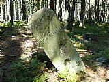 Starý hraniční kámen, který je umístěný zhruba 300 metrů SZ od vrcholu Nad Šindlovem.
