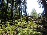 Vrchol tisícovky Nad Slatinkou.