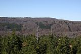 Pohled z vrcholu Oblíka na Poledník. Prakticky všechen les již odumřel.