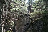 Oblík - S vrchol tvoří několik velkých kamenů na plochém zalesněném hřebínku.