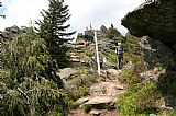 Výstup na Ostrý z bavorské strany je místy zajištěn ocelovými lany, je tedy jednou z mála cest typu "via ferrata" na Šumavě.