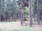 Pažení - J vrchol se poměrně obtížně hledá. Ve smíšeném lese je na nevýrazném spočinku.