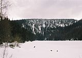 Jezerní stěna Plechého nad zamrzlým Plešným jezerem.