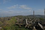 Hřebenovka s krásnými výhledy spojující Polom a Polom - JV vrchol, s výhledem na Debrník na pravé straně.