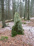 Na S úbočí Předního kopce (997 m ???) se nachází menhir vzdáleně připomínající z jedné strany šachovou figurku koně.