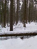 V lesním průseku na spojnici vrcholu Radvanovického vrchu a Radvanovického hřbetu - JZ vrcholu I lze nalézt tři zajišťovací geodetické body. Tento s kótou 1000,11 m je na souřadnicích: N48° 53,519' E13° 46,998'.