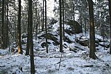 Skalní útvar na SZ hřebenu Skalky, který může být jejím nepopsaným vedlejším vrcholem. (Vrchol byl jako Skalka - SZ vrchol zařazen do seznamu našich tisícovek v říjnu 2014.)