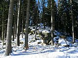 Jeden ze skalních útvarů tisícovky Skalky z križovatky lesních cest Nová Tyrolka a Knížecí stolec.