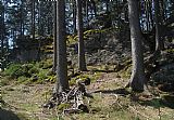 Nejvyšší místo Špičáku je ukryto v lese. Najdeme jej asi 150 m severozápadně od známé skály s dřevěným křížem, která bývá mylně za nejvyšší vrchol často považována .
