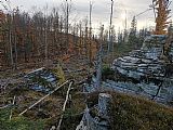 Pohled z jedné z vrcholových skal Špičáku směrem k st. hranici. Zdvihající se silueta kopce v prosvětleném podzimním lese dává tušit druhý vrchol Špičáku (na bavorské straně).