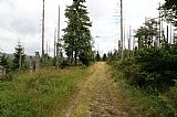 Boehmerweg, Česká cesta, přicházející od bavorského Waldhaeuser k Modrému Sloupu, budoucímu hraničnímu přechodu mezi Špičníkem a Velkou Mokrůvkou.
