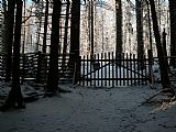 Část lesa v okolí Stožecké kaple na J úbočí Stožce je oplocena z důvodu ochrany porostu před zvěří.